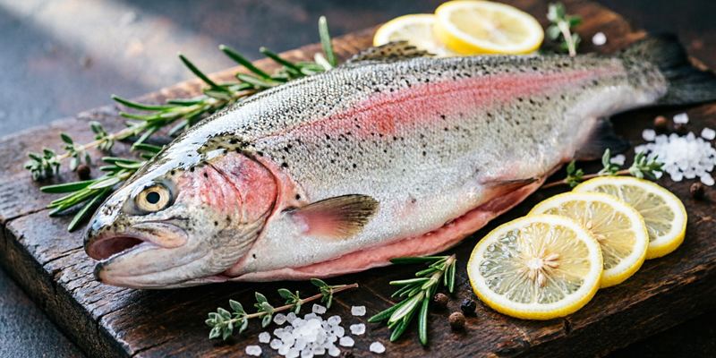 Радужная форель: рыба, которая полезнее лосося. И вот почему