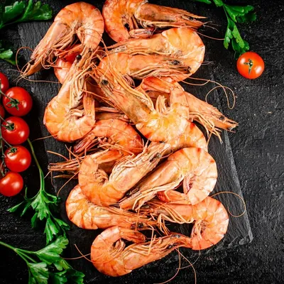 Креветка северная